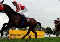 Betfair race course signage